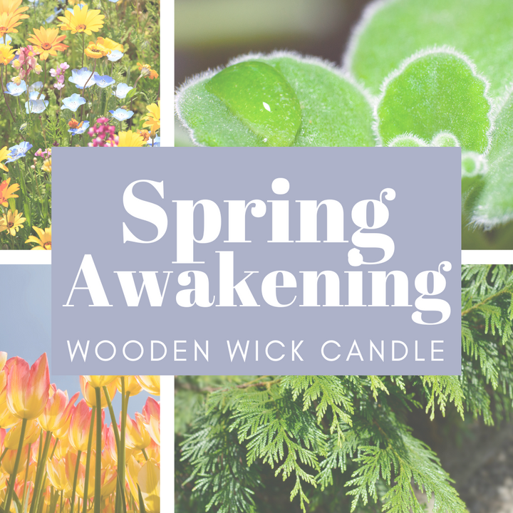 Spring Awakening | Luxury Candle