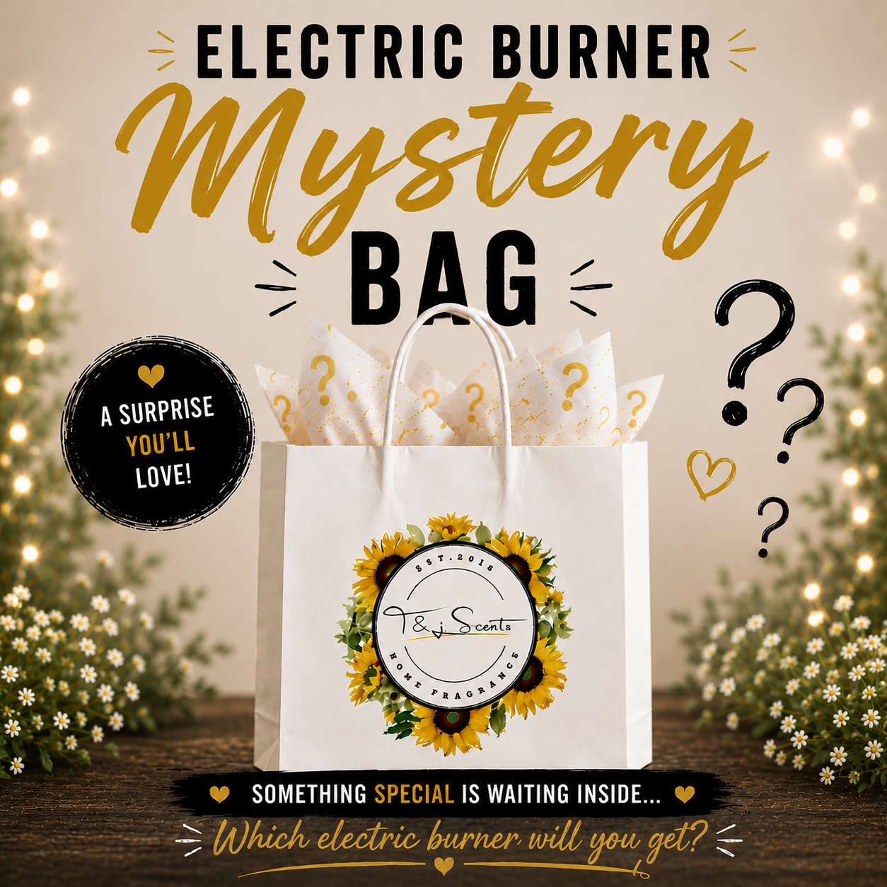Electric Burner Mystery Bag