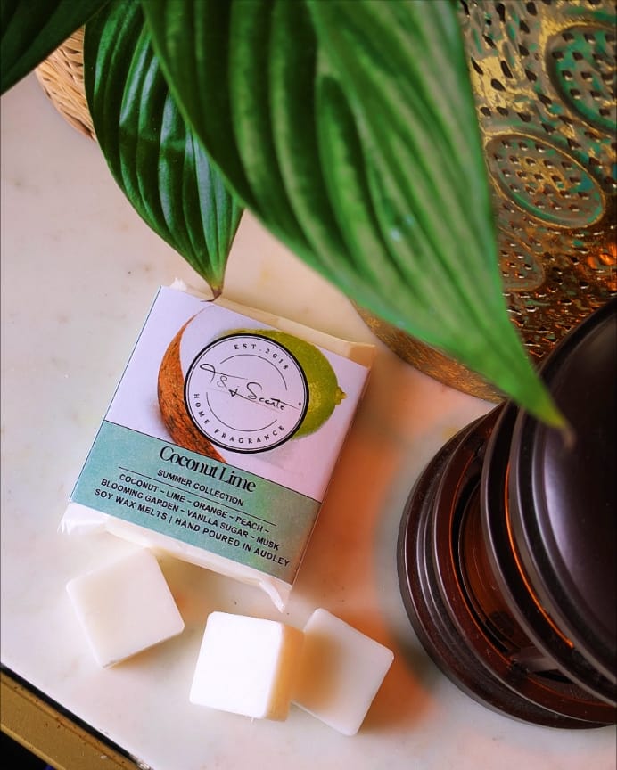 Coconut Lime - Summer Collection | Wax Melts