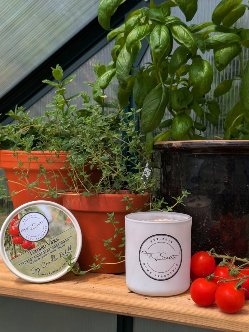 Tomato Vine - Limited Edition | Refillable Candle