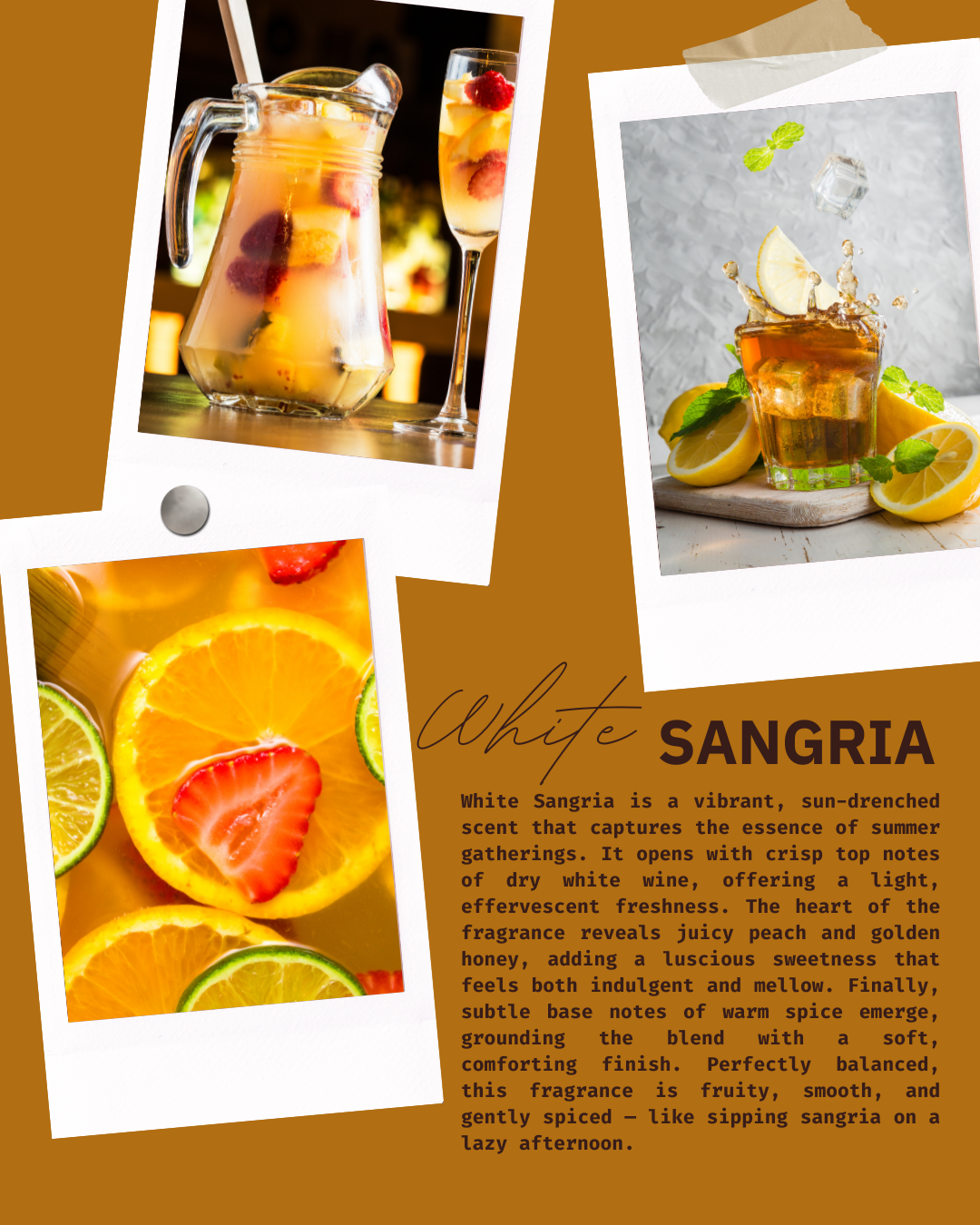 Ed and Ella's Special Offer!