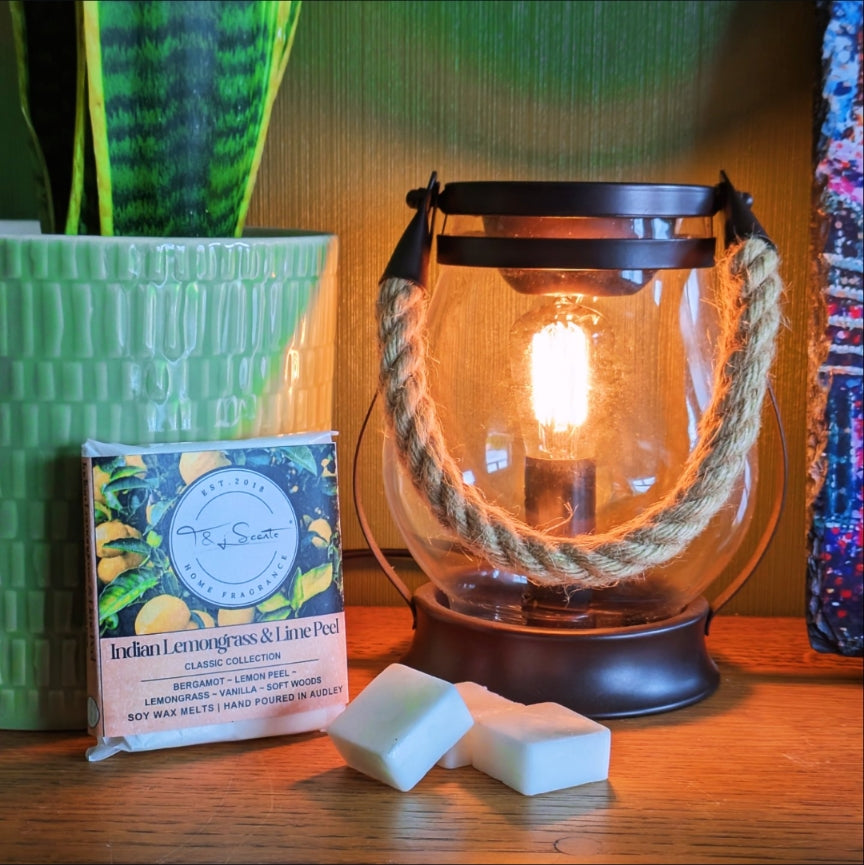 Ed and Ella's Special Offer!