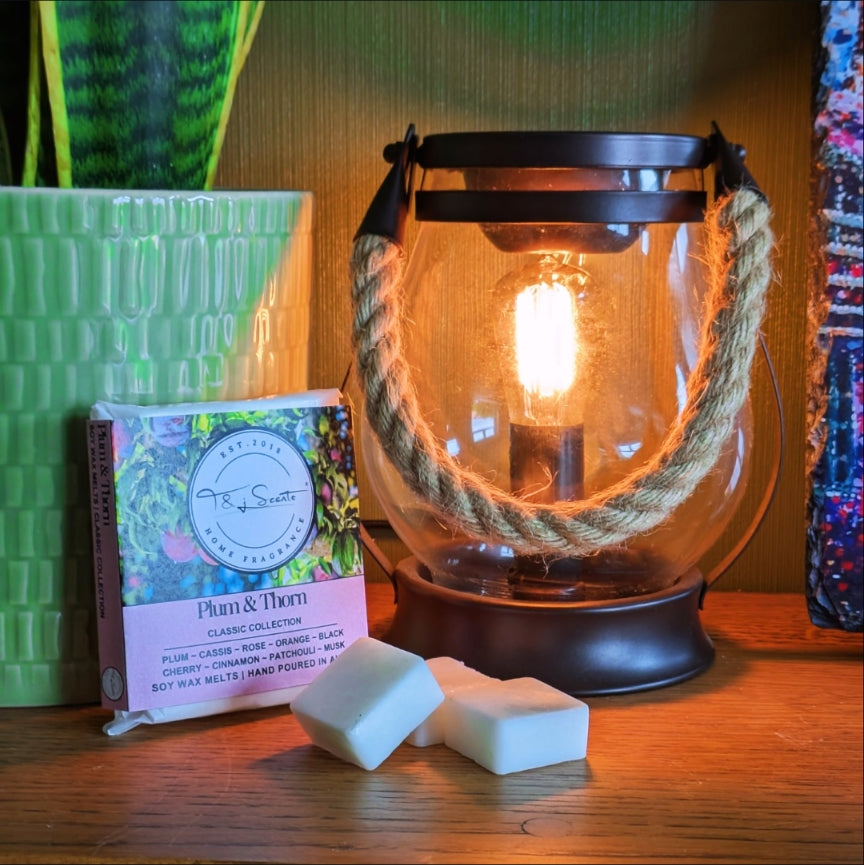 Plum & Thorn | Wax Melts