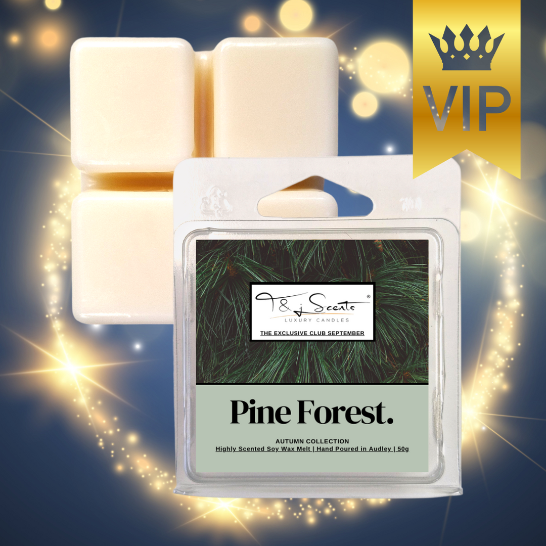 Pine Forest | September VIP Wax Melts