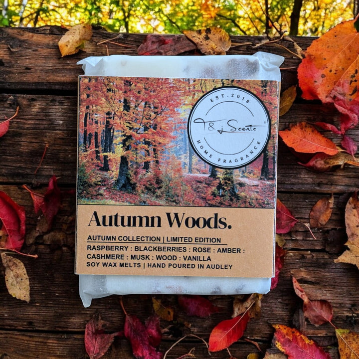 Autumn Woods | Wax Melts | AUTUMN COLLECTION 🍂