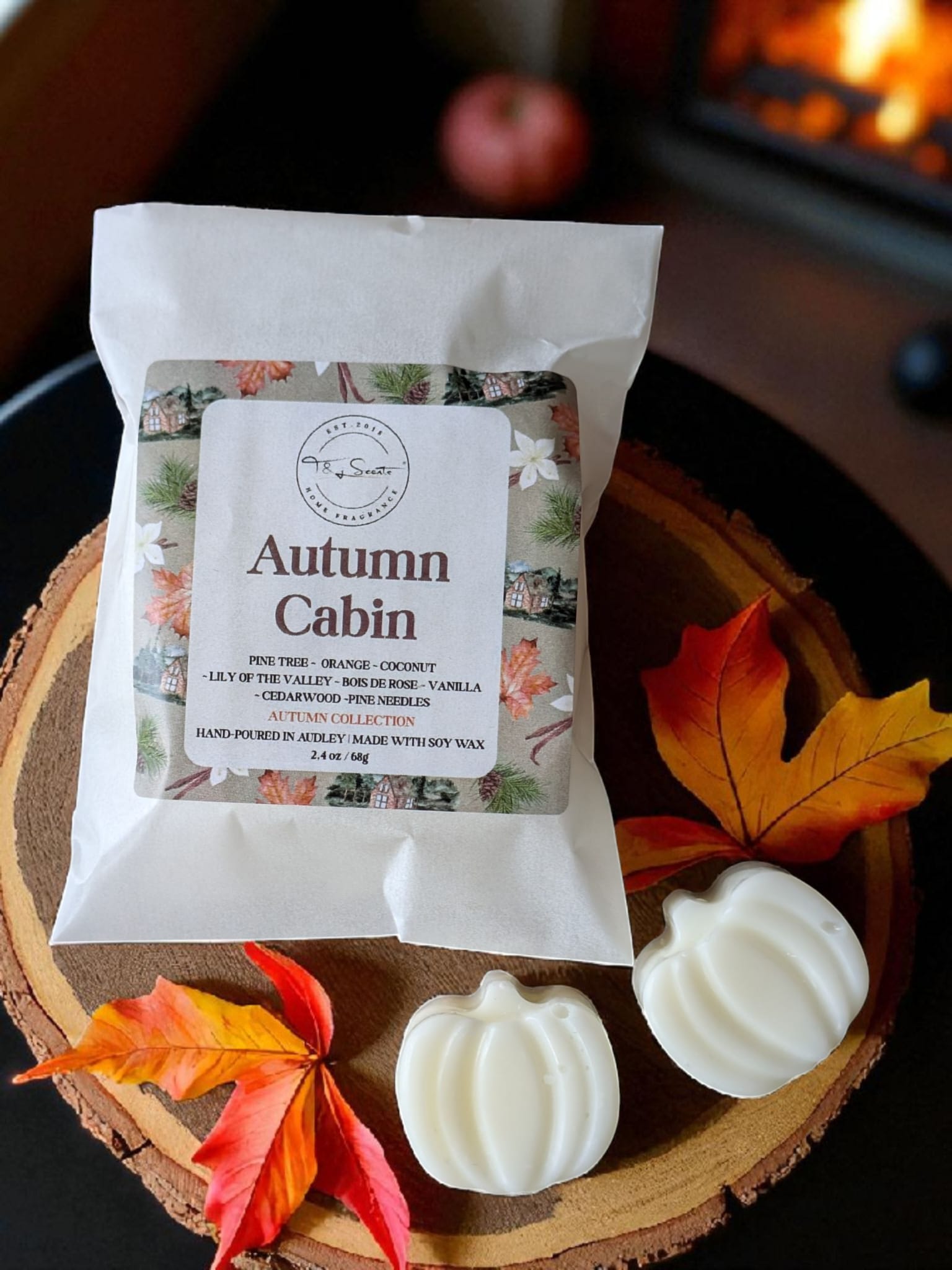 Autumn Cabin