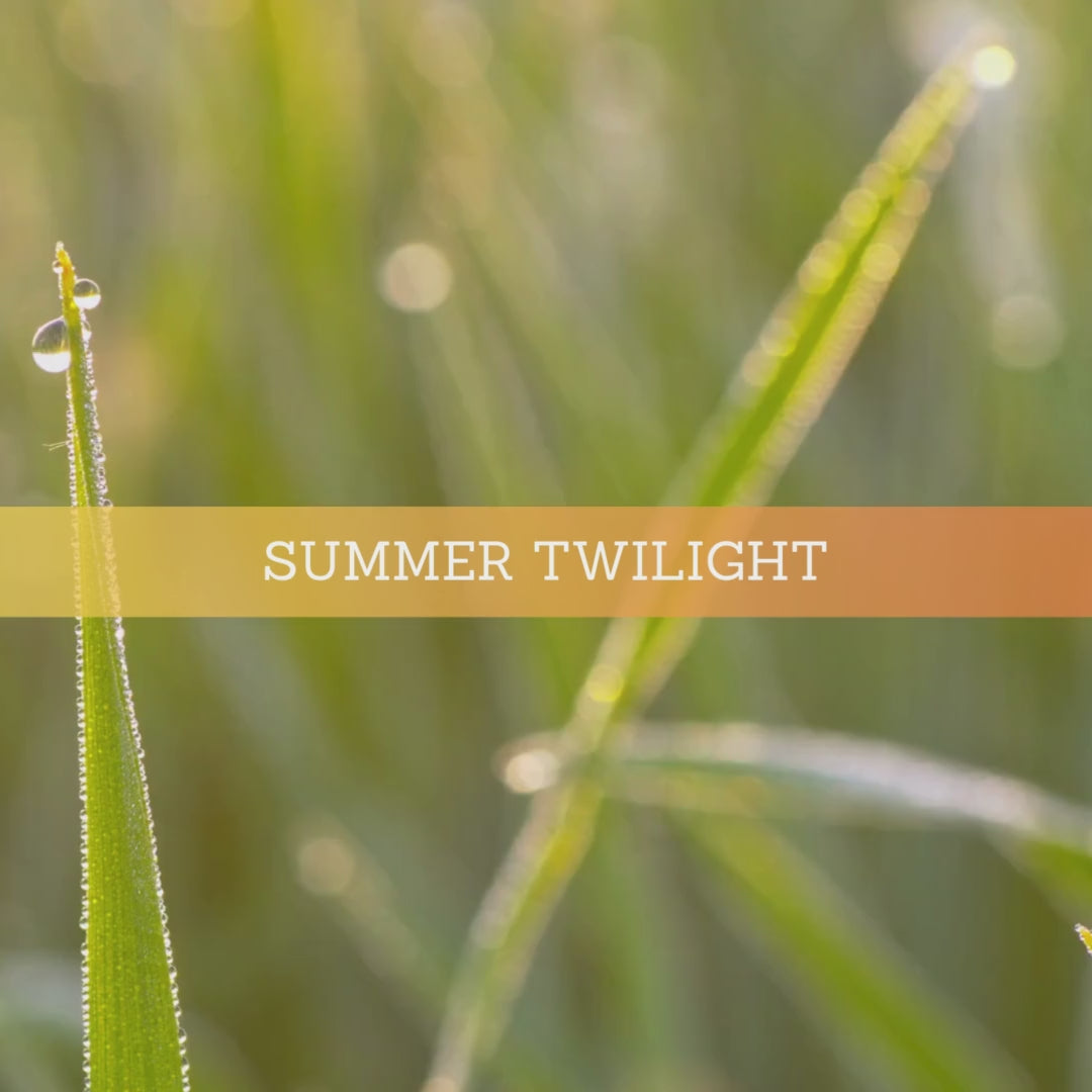 Summer Twilight | Wax Melts | Summer Collection