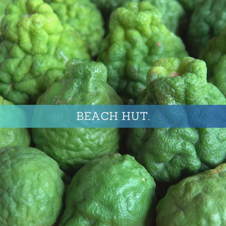 Beach Hut | Wax Melts | Summer Collection