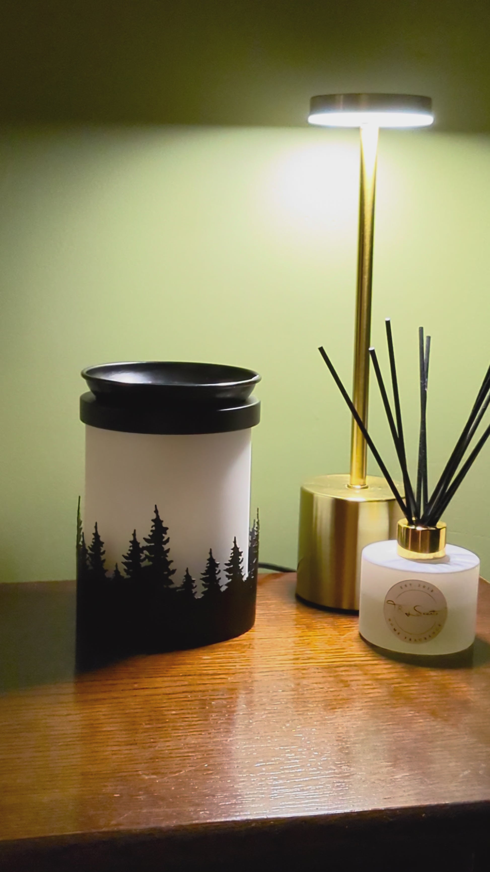 Electric Northern Light Wax Melt Warmer :