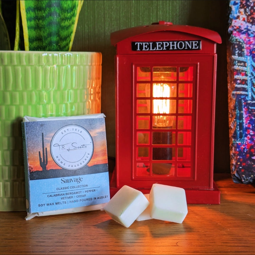 Sauvage | Wax Melts