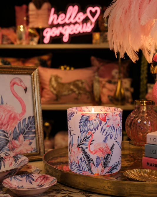 Flamingos